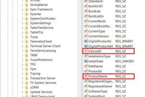 Downgrade-Windows-Server-2012-Registry-keys
