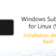 Native Linux-Bash unter Windows